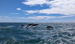 PXL_20231113_143740753.MP.jpg PXL_20231113_143740753.MP.jpg