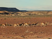 PXL_20231115_230055516.jpg PXL_20231115_230055516.jpg