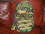 military sale 004.jpg