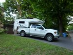 palomino-F150.jpg