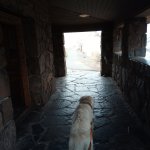 IMG_20231118_102941_827.jpg IMG_20231118_102941_827.jpg