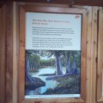 IMG_20231118_103008_006.jpg IMG_20231118_103008_006.jpg