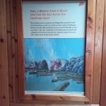 IMG_20231118_103020_895.jpg IMG_20231118_103020_895.jpg