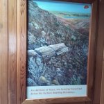 IMG_20231118_103042_092.jpg IMG_20231118_103042_092.jpg