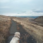 IMG_20231118_103425_439.jpg IMG_20231118_103425_439.jpg