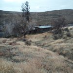 IMG_20231118_111319_757.jpg IMG_20231118_111319_757.jpg