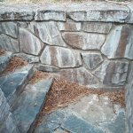 IMG_20231118_111501_879.jpg IMG_20231118_111501_879.jpg