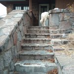 IMG_20231118_111507_556.jpg IMG_20231118_111507_556.jpg