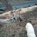 IMG_20231118_111737_548.jpg IMG_20231118_111737_548.jpg