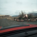 IMG_20231118_113925_872.jpg IMG_20231118_113925_872.jpg