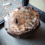 IMG_20231118_114845_071.jpg IMG_20231118_114845_071.jpg