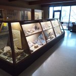 IMG_20231118_115145_187.jpg IMG_20231118_115145_187.jpg