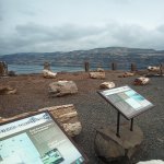 IMG_20231118_120015_835.jpg IMG_20231118_120015_835.jpg