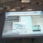 IMG_20231118_120024_910.jpg IMG_20231118_120024_910.jpg