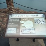 IMG_20231118_120144_532.jpg IMG_20231118_120144_532.jpg