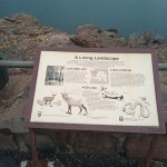 IMG_20231118_120205_508.jpg IMG_20231118_120205_508.jpg