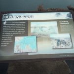 IMG_20231118_120343_364.jpg IMG_20231118_120343_364.jpg