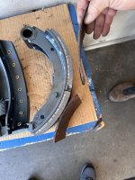 IMG_8263.jpeg IMG_8263.jpeg