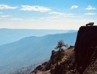 IMG_9489 2 Medium.jpeg