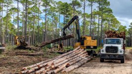 PHAT 05.jpg PHAT 05.jpg