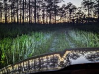 PHAT 13.jpg PHAT 13.jpg