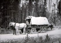 2538-Horse-and-covered-wagon.jpg