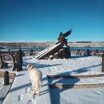 IMG_20231202_101422_975.jpg IMG_20231202_101422_975.jpg