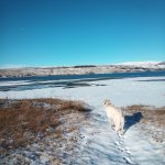 IMG_20231202_102216_267.jpg IMG_20231202_102216_267.jpg