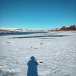 IMG_20231202_102246_340.jpg IMG_20231202_102246_340.jpg