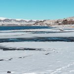 IMG_20231202_102314_675.jpg IMG_20231202_102314_675.jpg