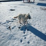 IMG_20231202_102516_470.jpg IMG_20231202_102516_470.jpg