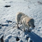 IMG_20231202_102519_494.jpg IMG_20231202_102519_494.jpg