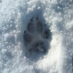 IMG_20231202_102555_309.jpg IMG_20231202_102555_309.jpg