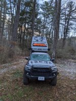 IMG_7342.jpeg IMG_7342.jpeg