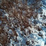 IMG_20231202_110502_834.jpg IMG_20231202_110502_834.jpg