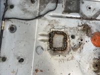 4F7D581C-9238-4BAB-B9F1-6AE09A472C84.jpeg 4F7D581C-9238-4BAB-B9F1-6AE09A472C84.jpeg