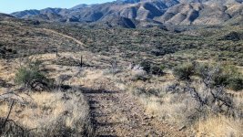 CKSH 02.jpg CKSH 02.jpg