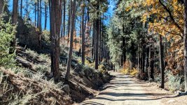 CKSH 07.jpg CKSH 07.jpg