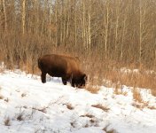 IMG_2889 copy.jpeg IMG_2889 copy.jpeg