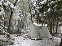 IMG_1477.JPEG IMG_1477.JPEG