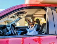 IMG_20220121_070053_824 Copy (1).JPG