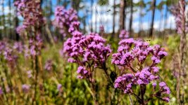 UD 01-03.jpg UD 01-03.jpg