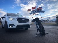 2D59D771-8E32-4174-ABF1-ECA34AF5D6D0.jpeg 2D59D771-8E32-4174-ABF1-ECA34AF5D6D0.jpeg