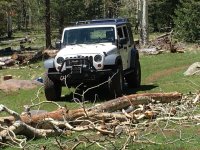 2008 JKUR arizona .JPG