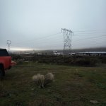 IMG_20231231_150455_430.jpg IMG_20231231_150455_430.jpg