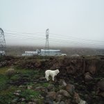 IMG_20231231_150500_213.jpg IMG_20231231_150500_213.jpg