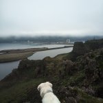 IMG_20231231_150210_338.jpg IMG_20231231_150210_338.jpg