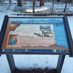 IMG_20231231_112340_234.jpg IMG_20231231_112340_234.jpg