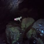 IMG_20231231_113036_038.jpg IMG_20231231_113036_038.jpg