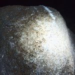 IMG_20231231_113240_214.jpg IMG_20231231_113240_214.jpg